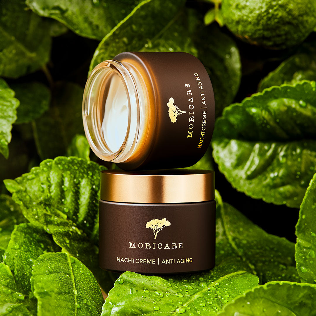 Moricare Faltencreme Anti Aging Nachtcrememit Seidenbaum und Moringami 